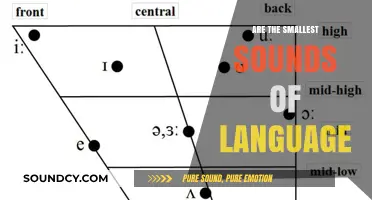 The Intricacies of Phonetics: Smallest Sounds in Language