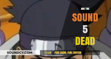 Are the Sound 5 Dead? Unraveling the Mystery Behind Their Silence