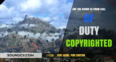 Are Call of Duty Sound Effects Copyrighted? Legal Insights