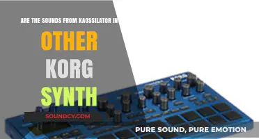 Exploring Kaossilator Sounds in Other Korg Synthesizers: Compatibility and Integration