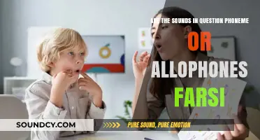 Phonemes or Allophones? Decoding Farsi's Sound Variations in Speech