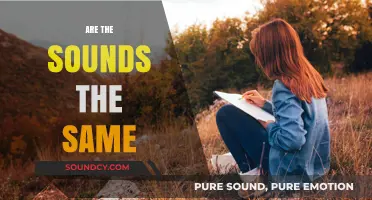 Are Sounds Identical? Exploring the Nuances of Auditory Perception