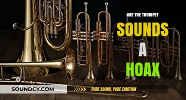 Trumpet Sounds: Hoax or Real?
