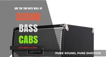 Two-Note Wall of Sound: Exploring Bass Cab Capabilities and Myths