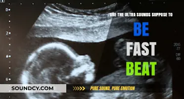 Understanding Ultrasound Heartbeat: Are Fast Beats Normal During Scans?