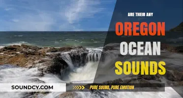 Oregon Coast Sounds: Ocean Waves and More