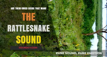 Do Dried Seeds Really Mimic Rattlesnake Sounds? Unveiling the Myth