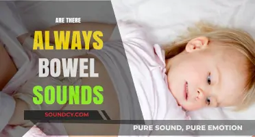 Understanding Bowel Sounds: Are They Always Present in a Healthy Gut?