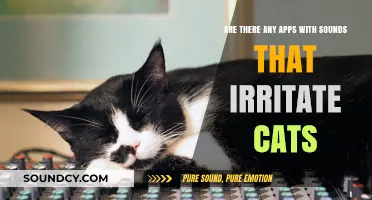Apps with Annoying Sounds: Do They Really Irritate Cats?