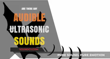 Ultrasonic Sounds: Audible or Inaudible?