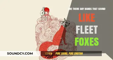 Discovering Bands Similar to Fleet Foxes: A Musical Journey