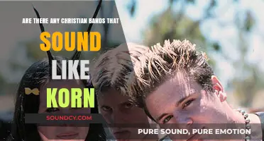Christian Nu-Metal Bands Similar to Korn: Exploring Faith-Based Heavy Music