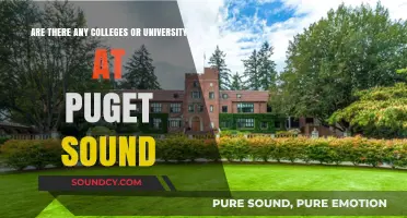 Exploring Higher Education: Colleges and Universities in Puget Sound