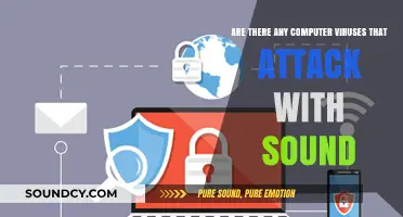 Can Sound Waves Carry Computer Viruses? Exploring Acoustic Malware Threats