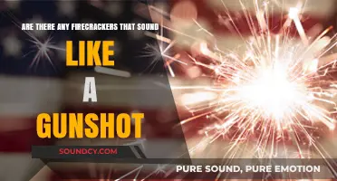 Firecrackers vs. Gunshots: Can You Tell the Difference in Sound?