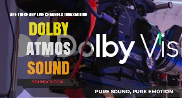 Live Channels Streaming Dolby Atmos: Where to Find Immersive Sound