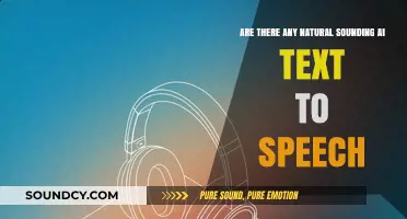 Natural-Sounding AI Text-to-Speech: Revolutionizing Voice Technology in 2023