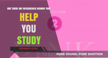 Research-Backed Study Sounds: Enhancing Focus and Productivity While Learning
