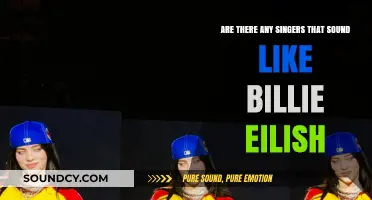 Discovering Vocal Twins: Artists with a Billie Eilish-Like Sound