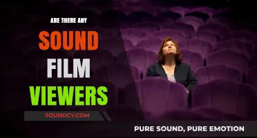 The Evolution of Film Viewing: Sound Revolution