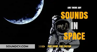 Space Sounds: Fact or Fiction?