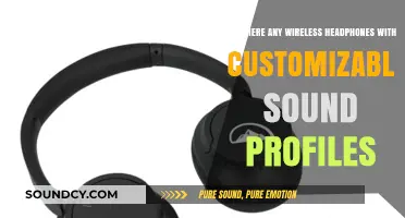 Customizable Sound Profiles: Exploring Wireless Headphones for Personalized Audio