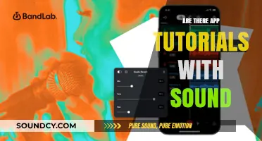 Tutorials with Sound: The Future of App Learning?