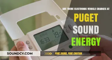 Puget Sound Energy's EV Charging Costs: What You Need to Know