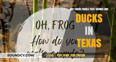 Texas Frogs Quacking Like Ducks: Uncovering the Unique Sounds of Nature