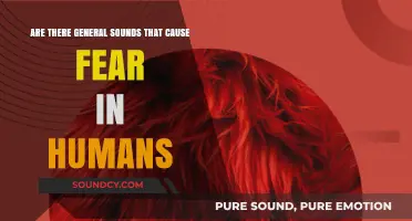 Unraveling the Universal Sounds That Trigger Fear in Humans
