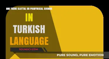Exploring Turkish Phonetics: Glottal and Pharyngeal Sounds in the Language