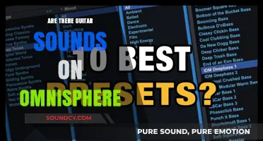 Omnisphere's Guitar Sounds: A Comprehensive Overview