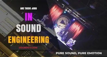 Sound Engineering: A Career with Opportunities