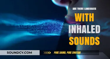 Inhaled Sounds: Do Languages Have Them?