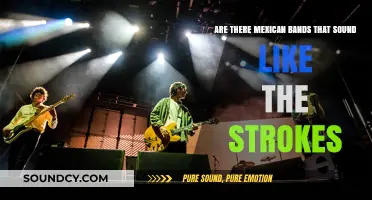 Mexican Bands Channeling The Strokes' Sound: A Musical Exploration