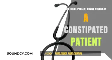 Bowel Sounds in Constipation: What to Expect and When to Worry