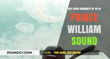 Oil Remnants in Prince William Sound: A Lasting Environmental Legacy?