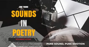 Exploring the Sonic Dimensions: Do Sounds Shape Poetry's Essence?
