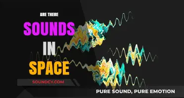 Unveiling the Silence: Do Sounds Exist in the Vastness of Space?