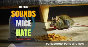 Unwanted Guests: Discovering Sounds That Repel Mice Effectively