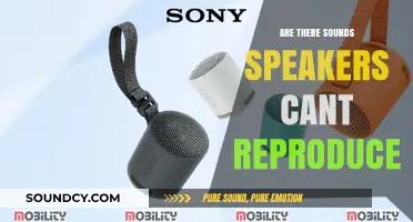 Speaker Limitations: Sounds Beyond Reproduction