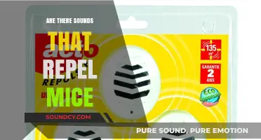 How Sound Can Be Used to Repel Mice