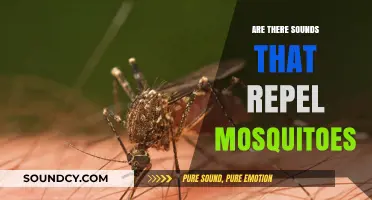 How Sound Waves Keep Mosquitoes Away