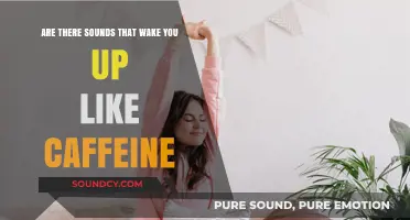 Sounds That Energize: Can Certain Noises Replace Your Morning Coffee?
