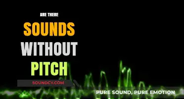 Exploring the Mystery of Sounds Without Pitch: A Comprehensive Analysis