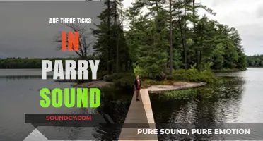 Ticks in Parry Sound: What You Need to Know