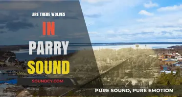 Wolf Country: Parry Sound's Wild Neighbours