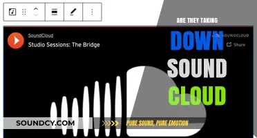 The Future of SoundCloud: Is It Doomed?