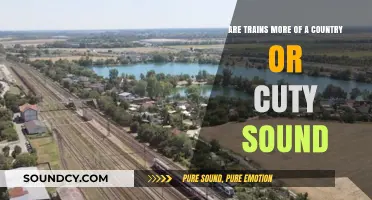 Trains: Rural Serenity or Urban Hustle? Decoding Their Signature Sounds