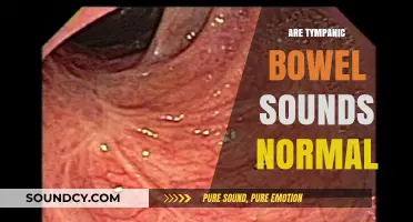 Are Tympanic Bowel Sounds Normal? Understanding Abdominal Sounds and Health